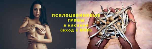 дживик Медвежьегорск