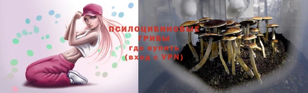 ГАЛЛЮЦИНОГЕННЫЕ ГРИБЫ Мегион