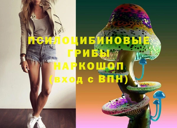 ГАЛЛЮЦИНОГЕННЫЕ ГРИБЫ Мегион