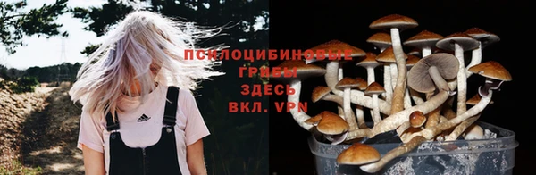 a pvp Медногорск