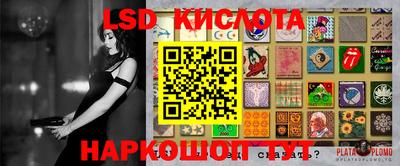 крисы Кулебаки
