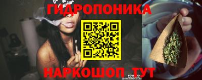 крисы Кулебаки