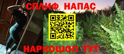 крисы Кулебаки