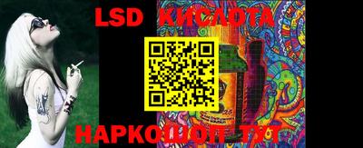 крисы Кулебаки