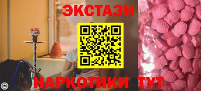 крисы Кулебаки