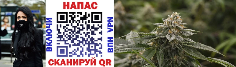 Конопля White Widow  где купить наркоту  Троицк 